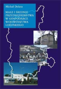 Małe i średnie przedsiębiorstwa w gospodarce województwa lubuskiego